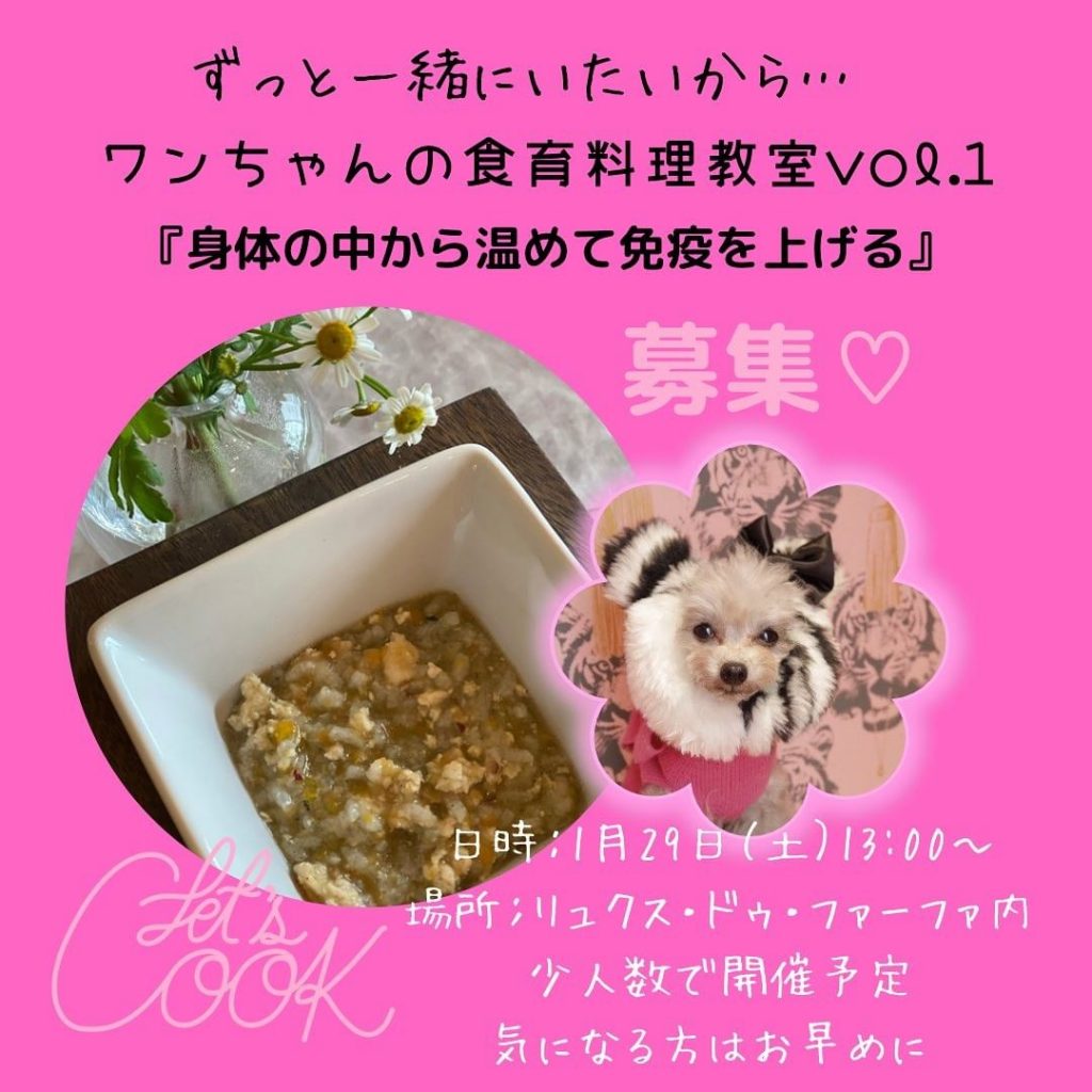 なんばの近くにある酸素カプセル完備のトリミングサロン開催のトイプードル向けお料理教室の案内
