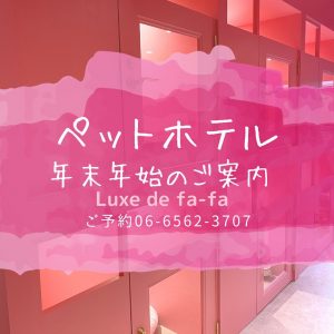 なんば・千日前阿・桜川・堀江近くのFa＊Fa（ファーファ）のペットホテル