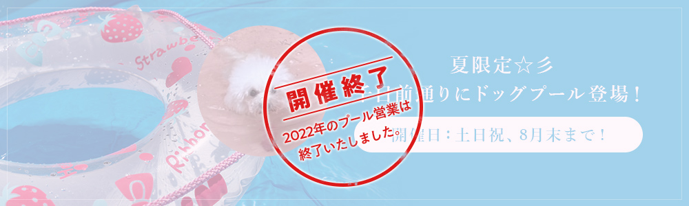 ドックプール開催修了
