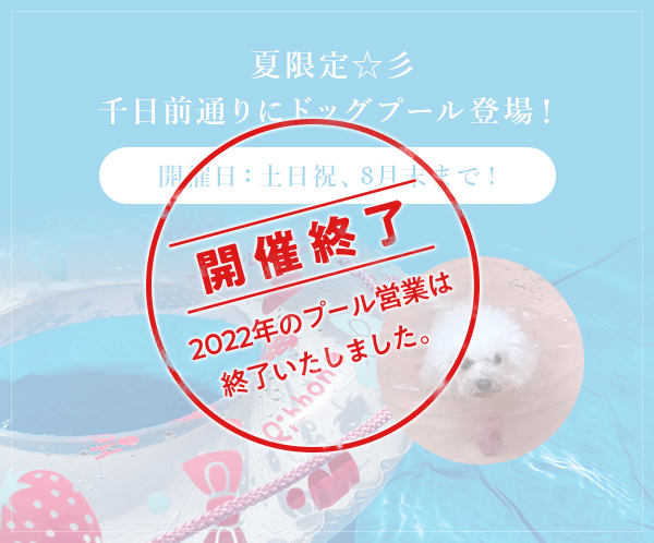 ドックプール開催修了